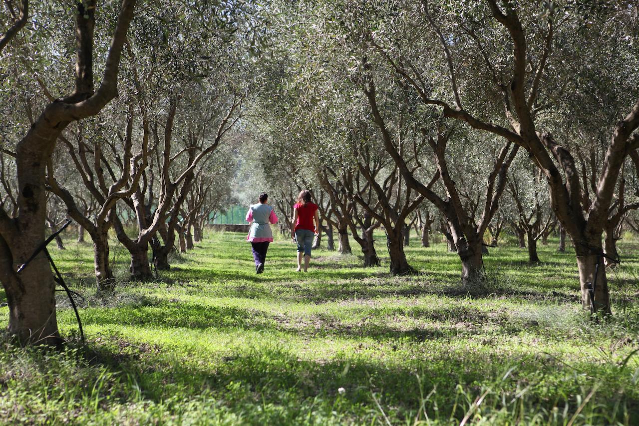 Agriturismo A'Sena-Runcatini Cimina Bagian luar foto